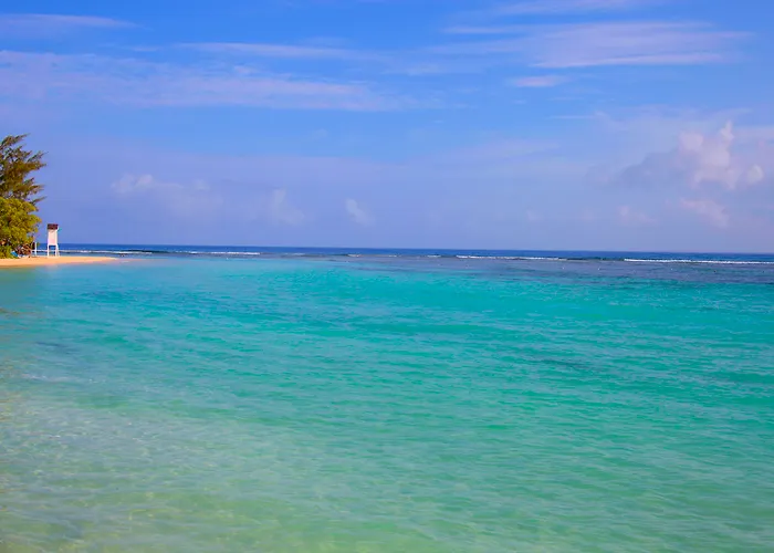 Bahia Principe Explore Jamaica (Adults Only)